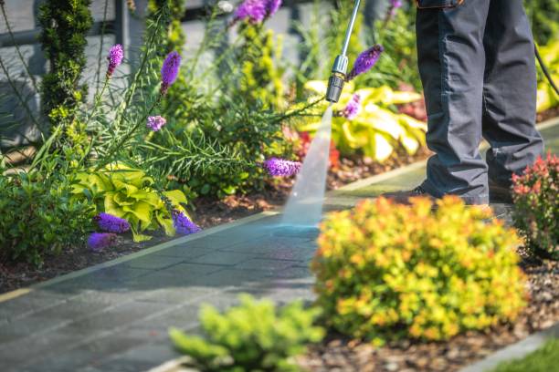 Trusted Scottsburg, IN Pressure Washing Services Experts